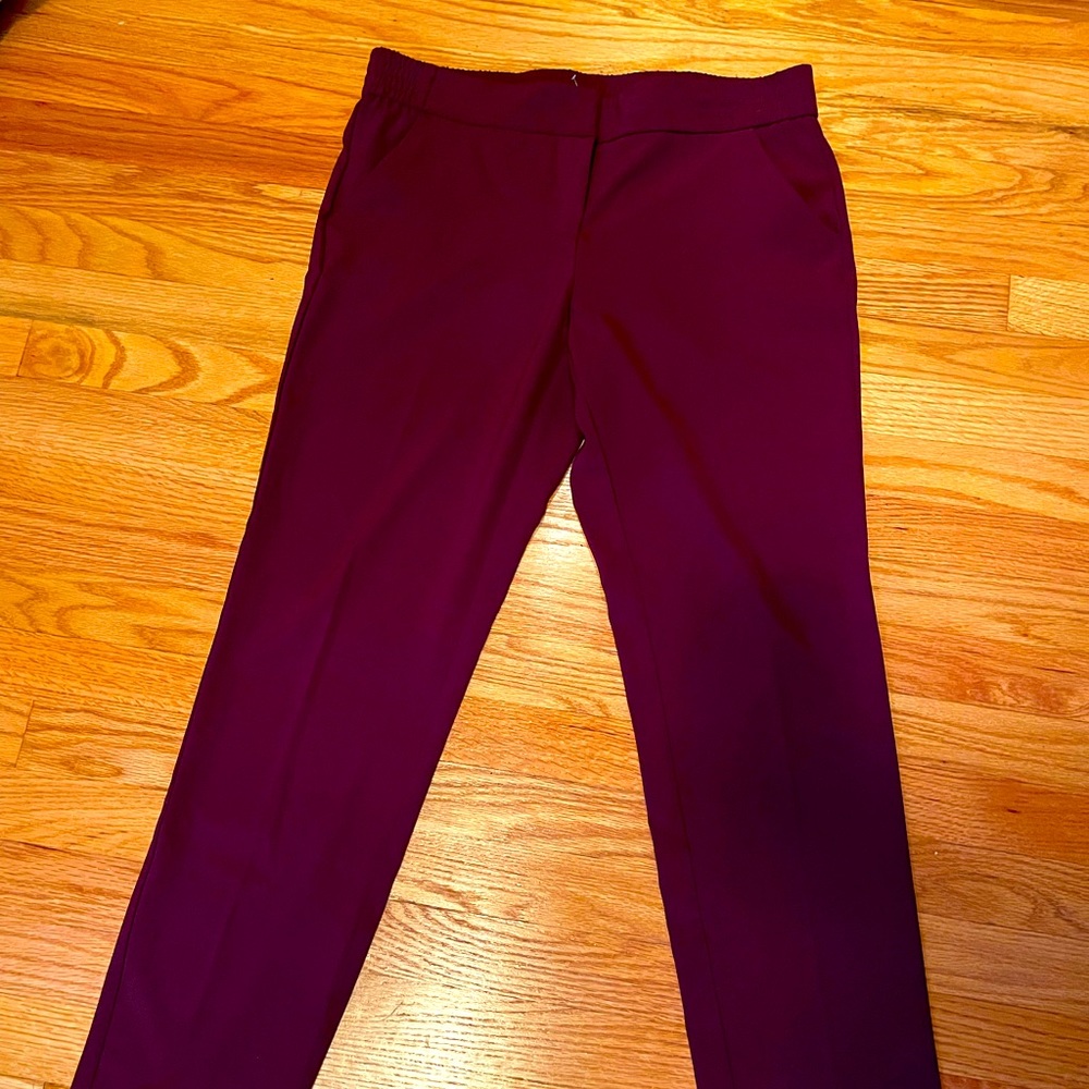 Burgundy dress pants